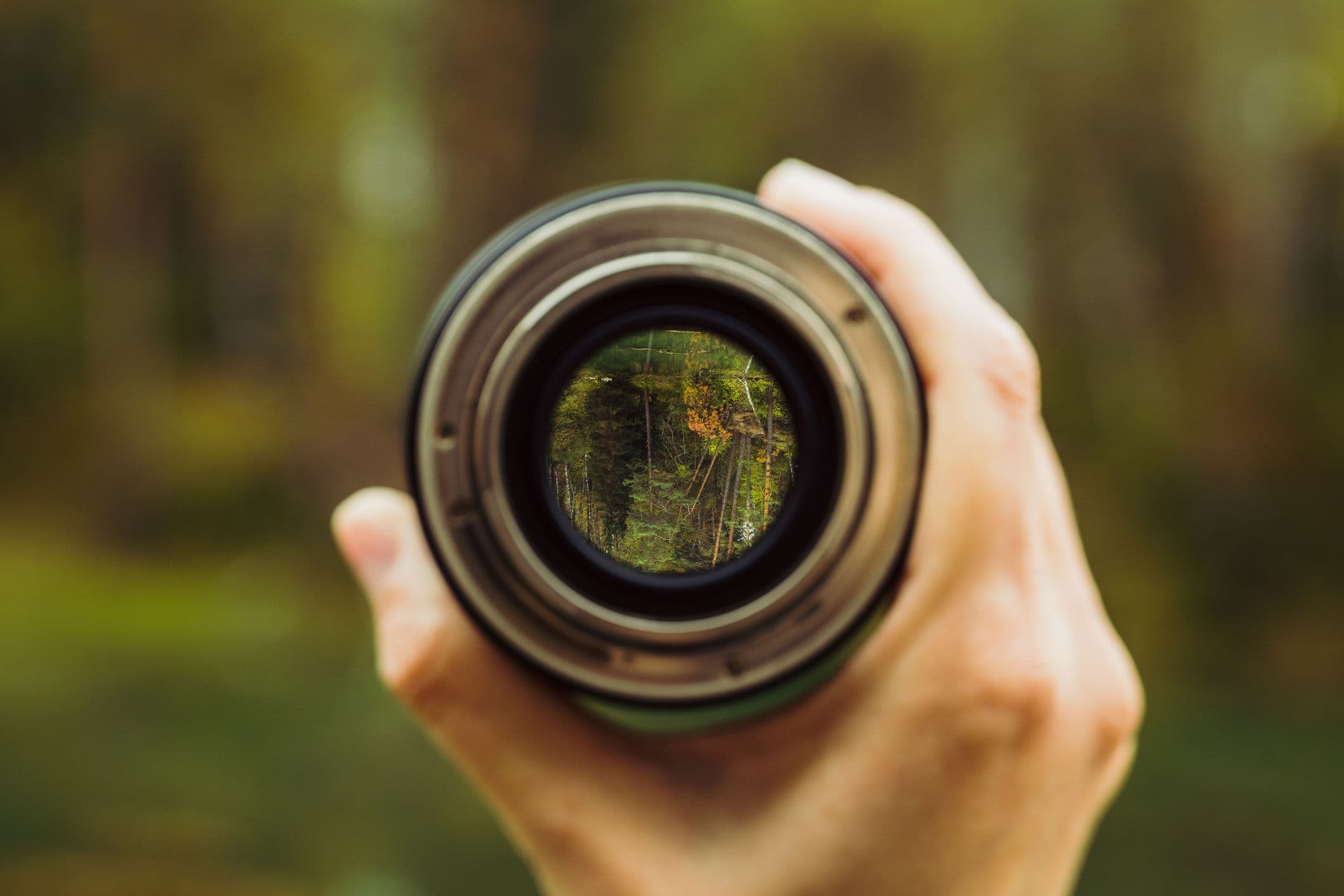 Kameralinse mit Wald im Fokus – Symbol für Weitblick, Vielfalt und gezielte Auswahl beim breitesten Kreditangebot der Schweiz